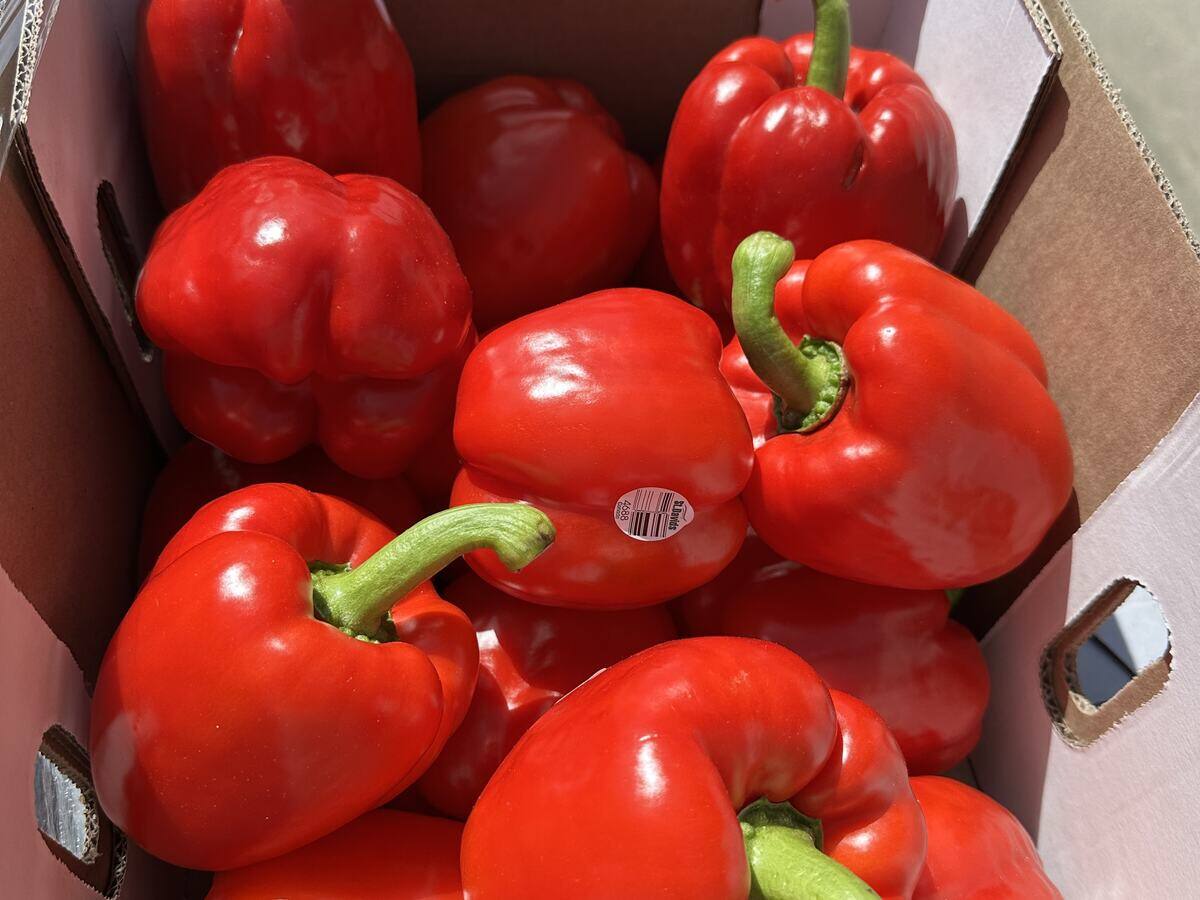 Fresh red peppers from a delivery